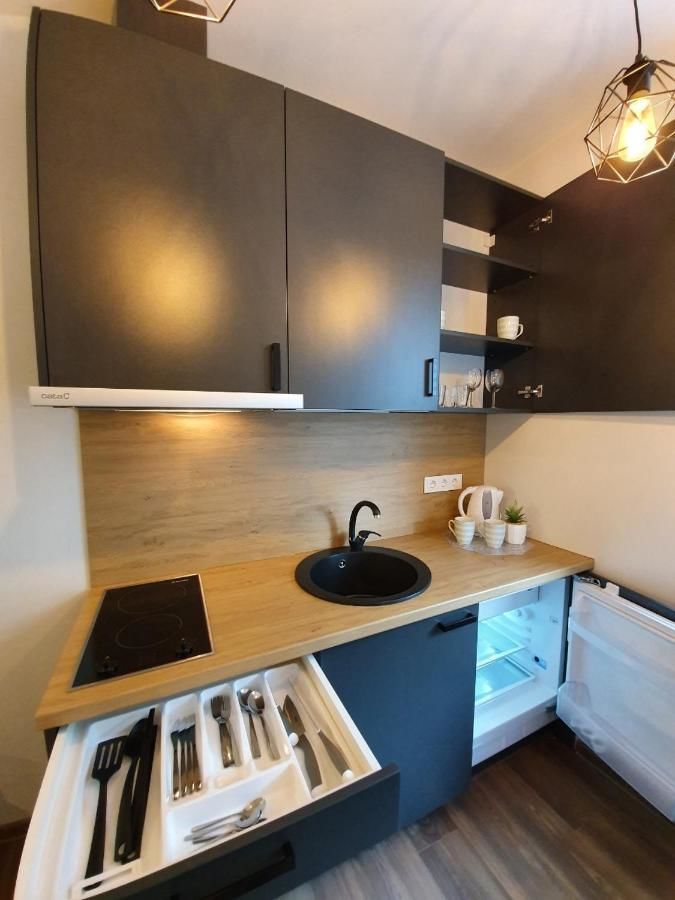 Апарт-отели Oak house apartments Каунас-35