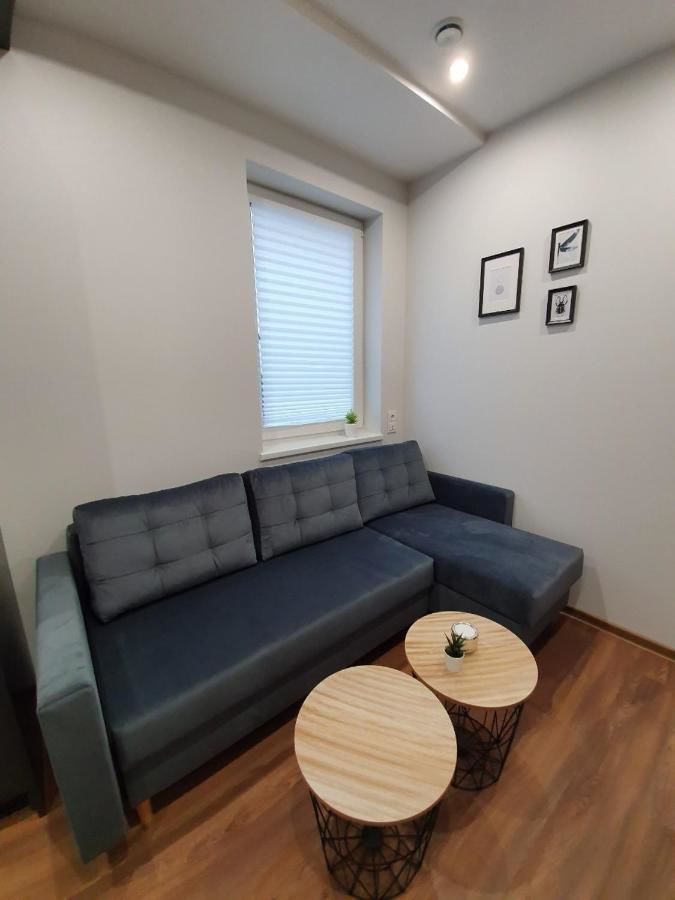Апарт-отели Oak house apartments Каунас-42