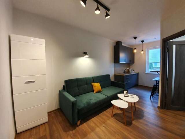 Апарт-отели Oak house apartments Каунас-33