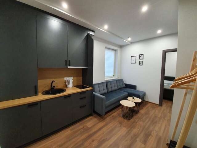 Апарт-отели Oak house apartments Каунас-43